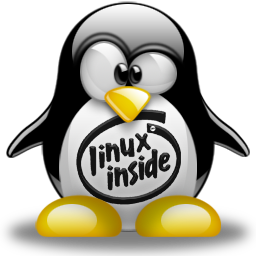 recomandari instalare linux